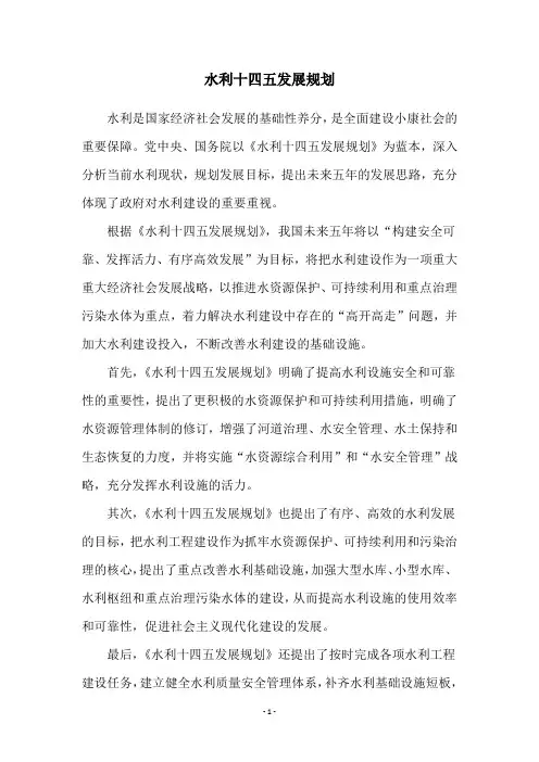 水利十四五发展规划