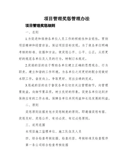 项目管理奖惩管理办法