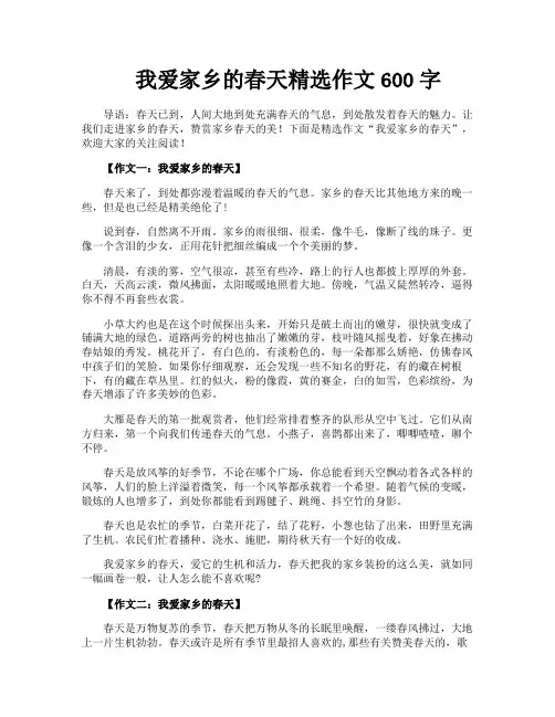 我爱家乡的春天精选作文600字