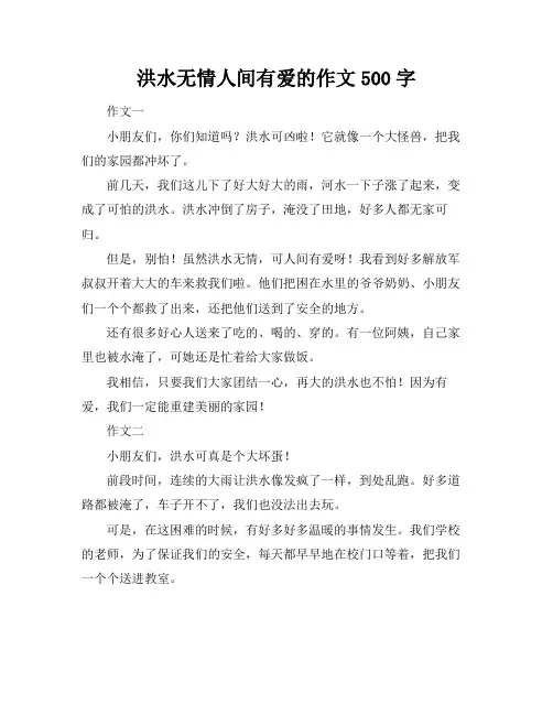 洪水无情人间有爱的作文500字