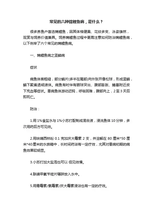 常见的六种锦鲤鱼病，是什么？