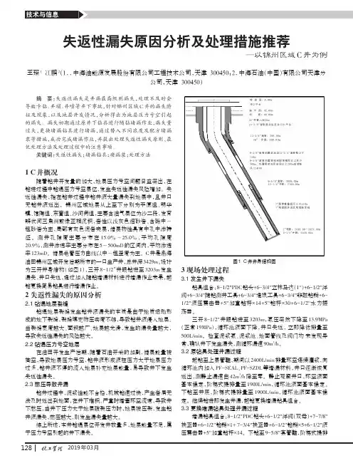 失返性漏失原因分析及处理措施推荐——以锦州区域C井为例