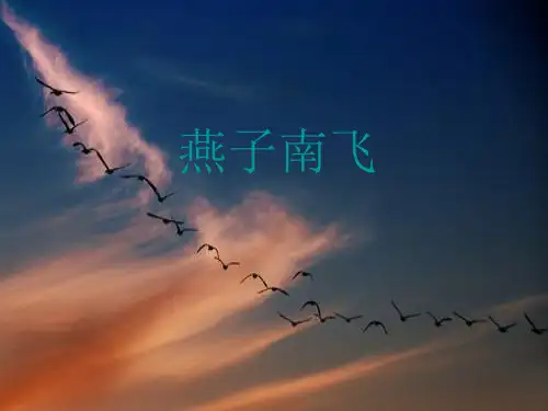 2019精选教育五年级上册科学课件-第7课《燕子南飞》｜冀教版   (共25张PPT).ppt