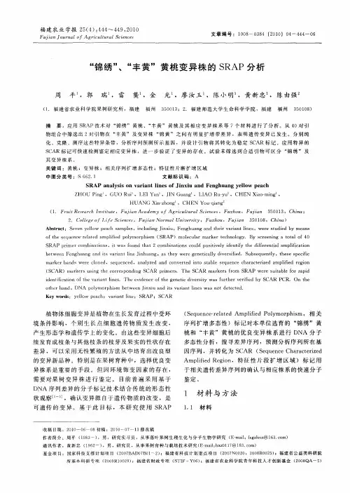 “锦绣”、“丰黄”黄桃变异株的SRAP分析