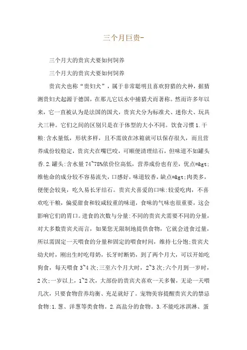 三个月巨贵--三个月大的贵宾犬要如何饲养