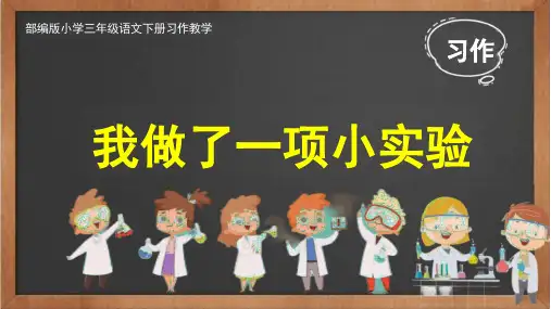 《习作：我做了一项小实验》ppt课件