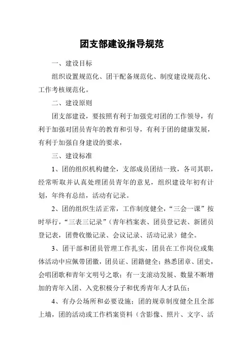 团支部建设指导规范