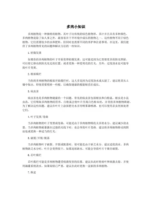 多肉小知识