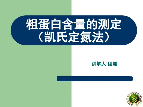 粗蛋白分析
