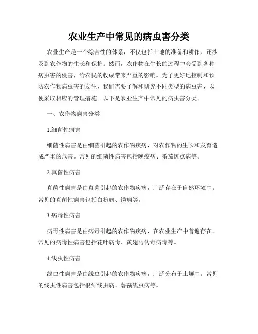 农业生产中常见的病虫害分类