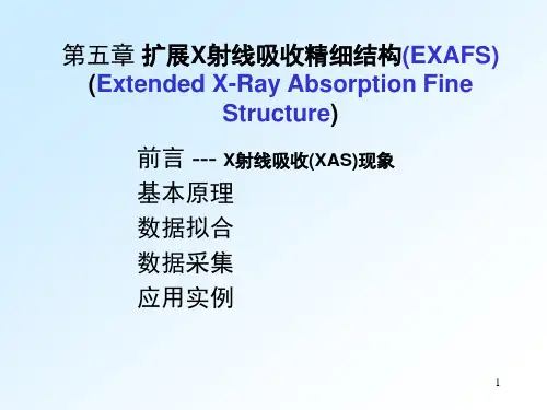 X射线吸收精细结构PPT课件