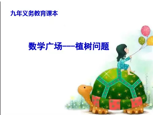 三年级上册数学整理与提高(数学广场-植树问题)沪教版 (13)