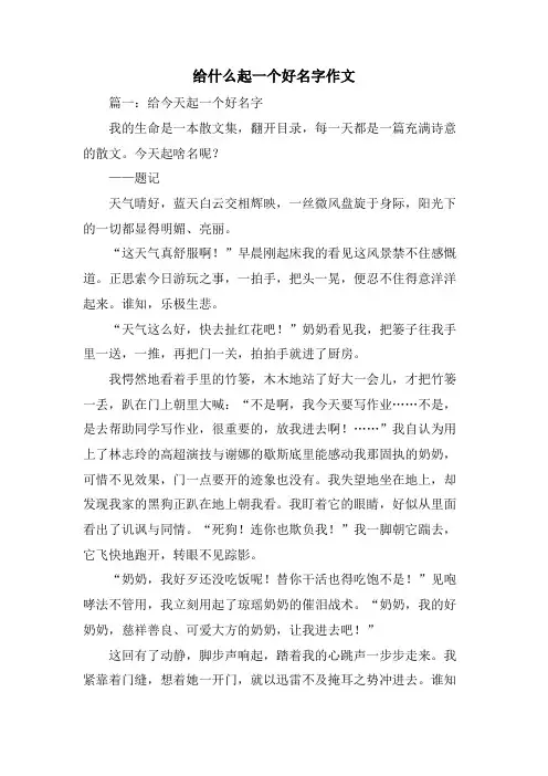 给什么起一个好名字作文
