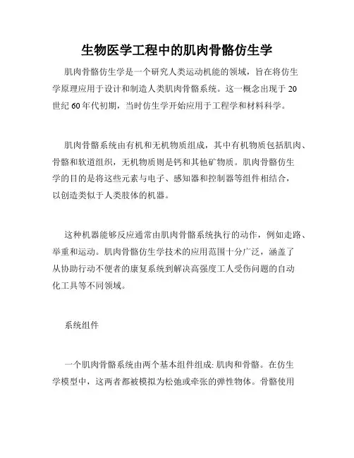 生物医学工程中的肌肉骨骼仿生学