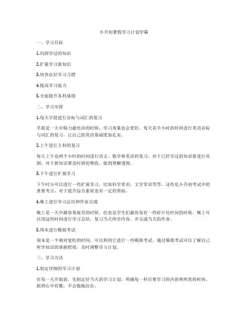 小升初暑假学习计划学霸