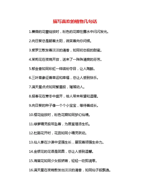 描写喜欢的植物几句话