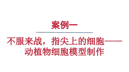 案例一动植物细胞模型制作课件人教版生物七年级上册