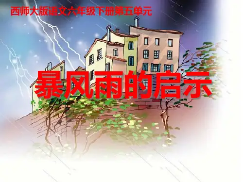 《暴风雨的启示》PPT课件