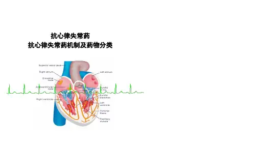 4.4.1抗心律失常药机制及药物分类