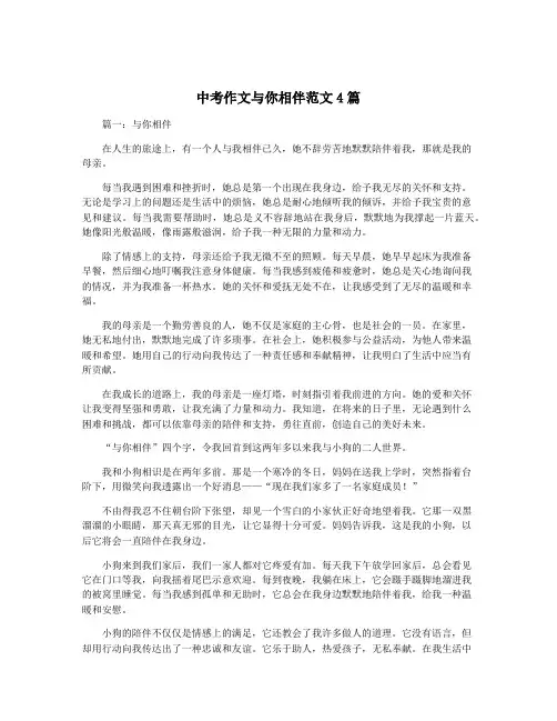 中考作文与你相伴范文4篇