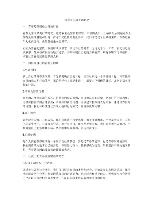 青春正闪耀主题班会