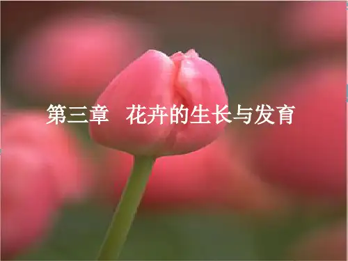 花卉学课件3生长和发育