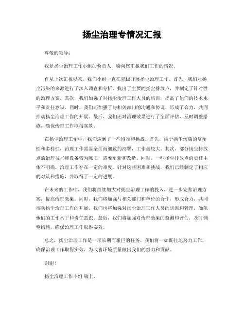 扬尘治理专情况汇报