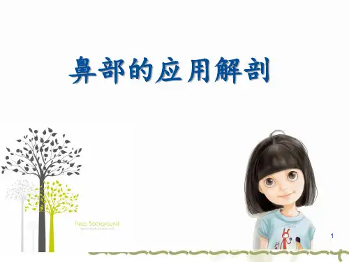 鼻部的应用解剖PPT课件