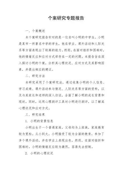 个案研究专题报告
