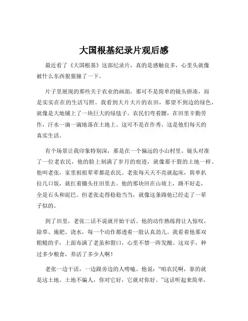 大国根基纪录片观后感