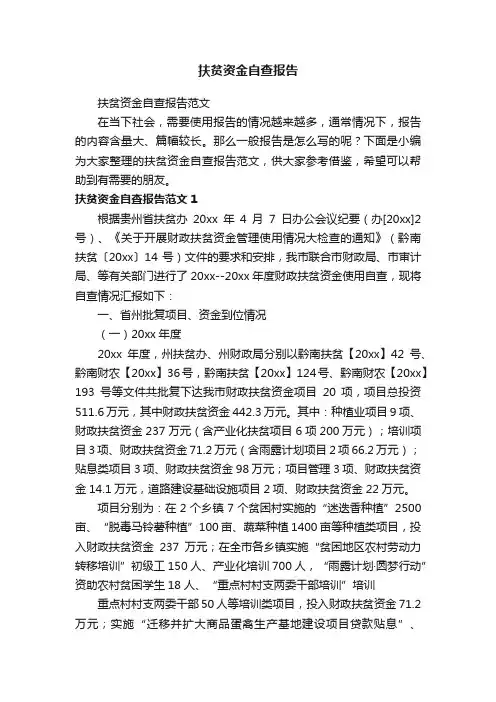 扶贫资金自查报告
