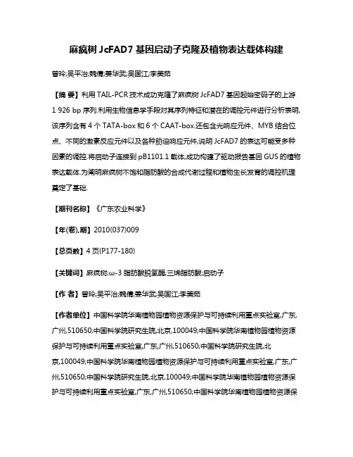 麻疯树JcFAD7基因启动子克隆及植物表达载体构建