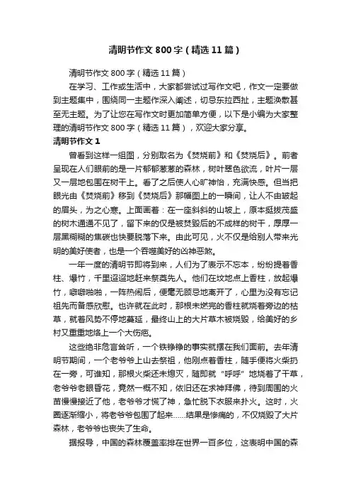 清明节作文800字（精选11篇）