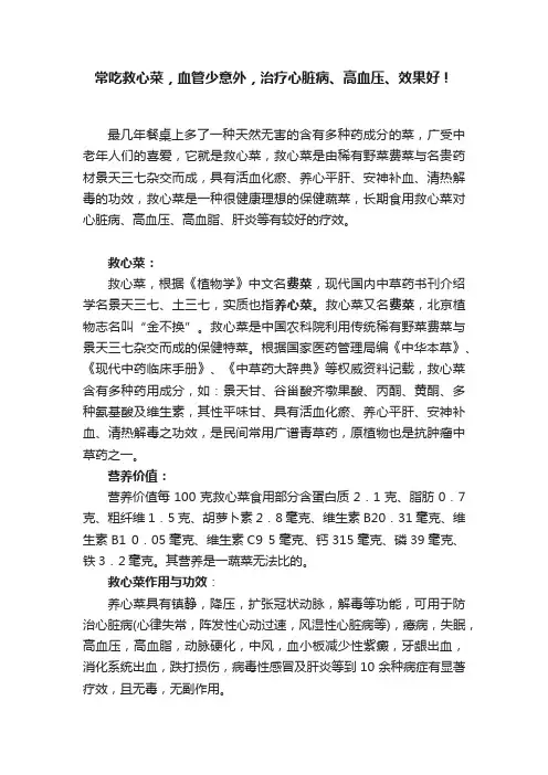 常吃救心菜，血管少意外，治疗心脏病、高血压、效果好！
