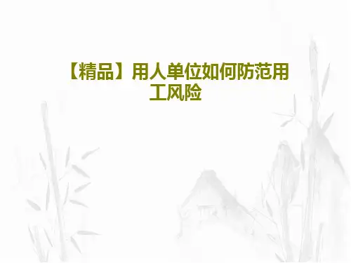 【精品】用人单位如何防范用工风险33页PPT