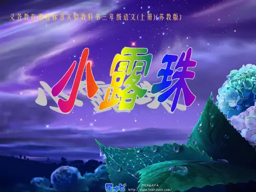 小露珠课件