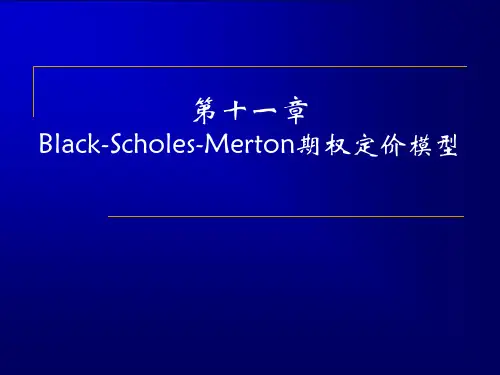 第十一章Black-Scholes-Merton期权定价模型