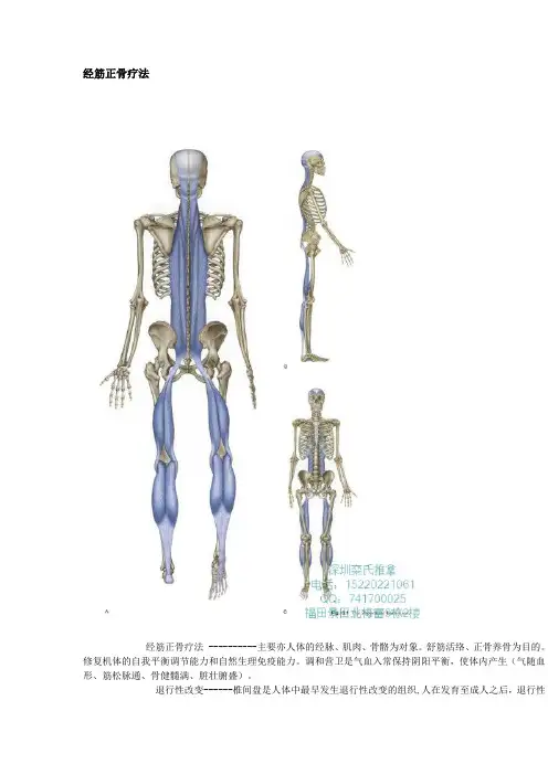 经筋正骨疗法