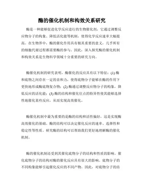 酶的催化机制和构效关系研究