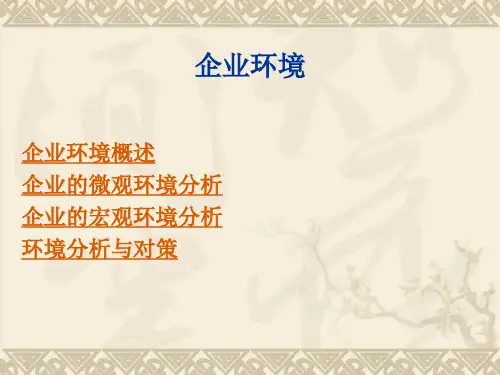 企业管理环境分析(精)