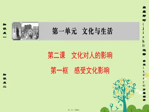 高中政治第1单元文化与生活第2课文化对人的影响第1框感受文化影响课件新人教版必修3