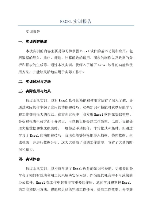EXCEL实训报告