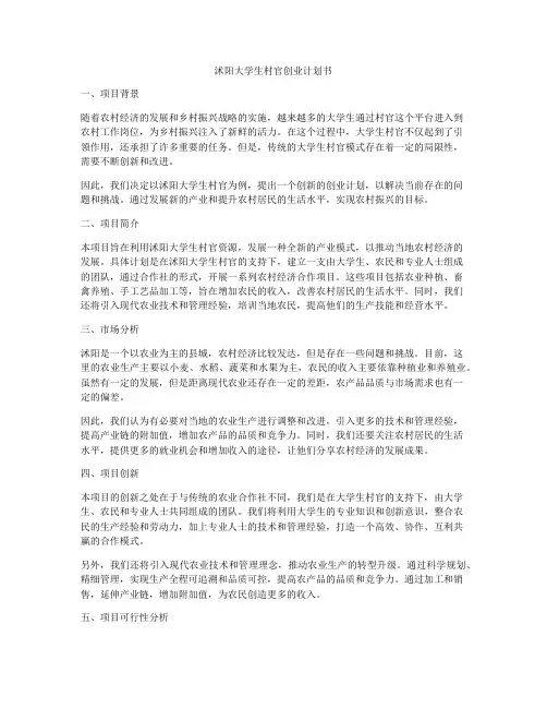 沭阳大学生村官创业计划书