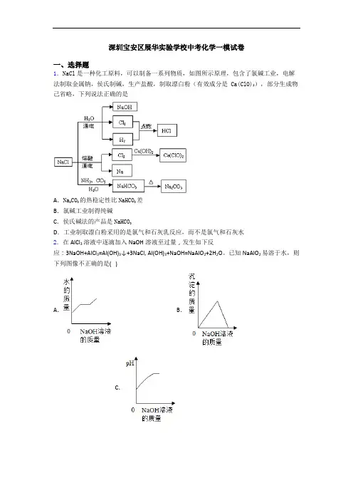 深圳宝安区展华实验学校中考化学一模试卷