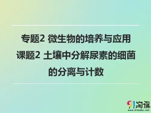 课件2：2.2土壤中分解尿素的细菌的分离与计数