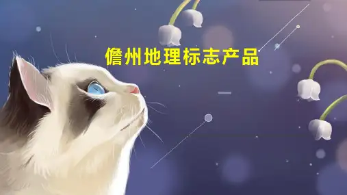 儋州地理标志产品