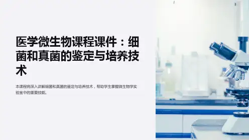 医学微生物课程课件：细菌和真菌的鉴定与培养技术