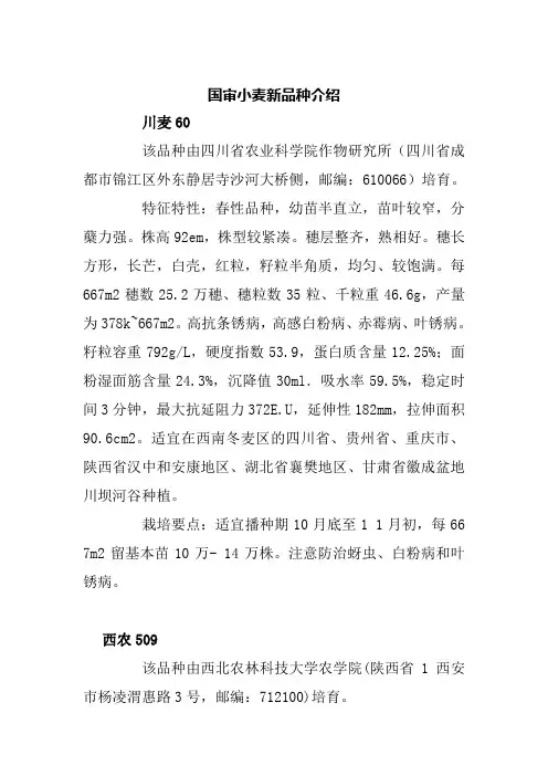 国审小麦新品种介绍