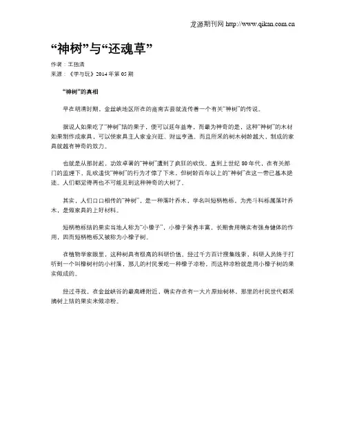 “神树”与“还魂草”