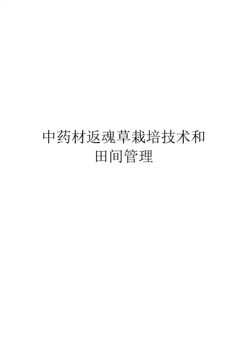中药材返魂草栽培技术和田间管理
